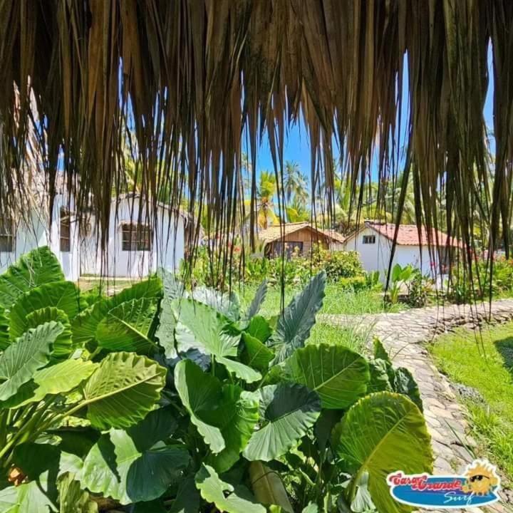 CasaGrande Surf Hotell Guachaca Rum bild